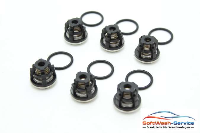 KIT 2780 Ventilsatz (6 Stück) passend für Pumpe Annovi Reverberi XWL 50.07 H