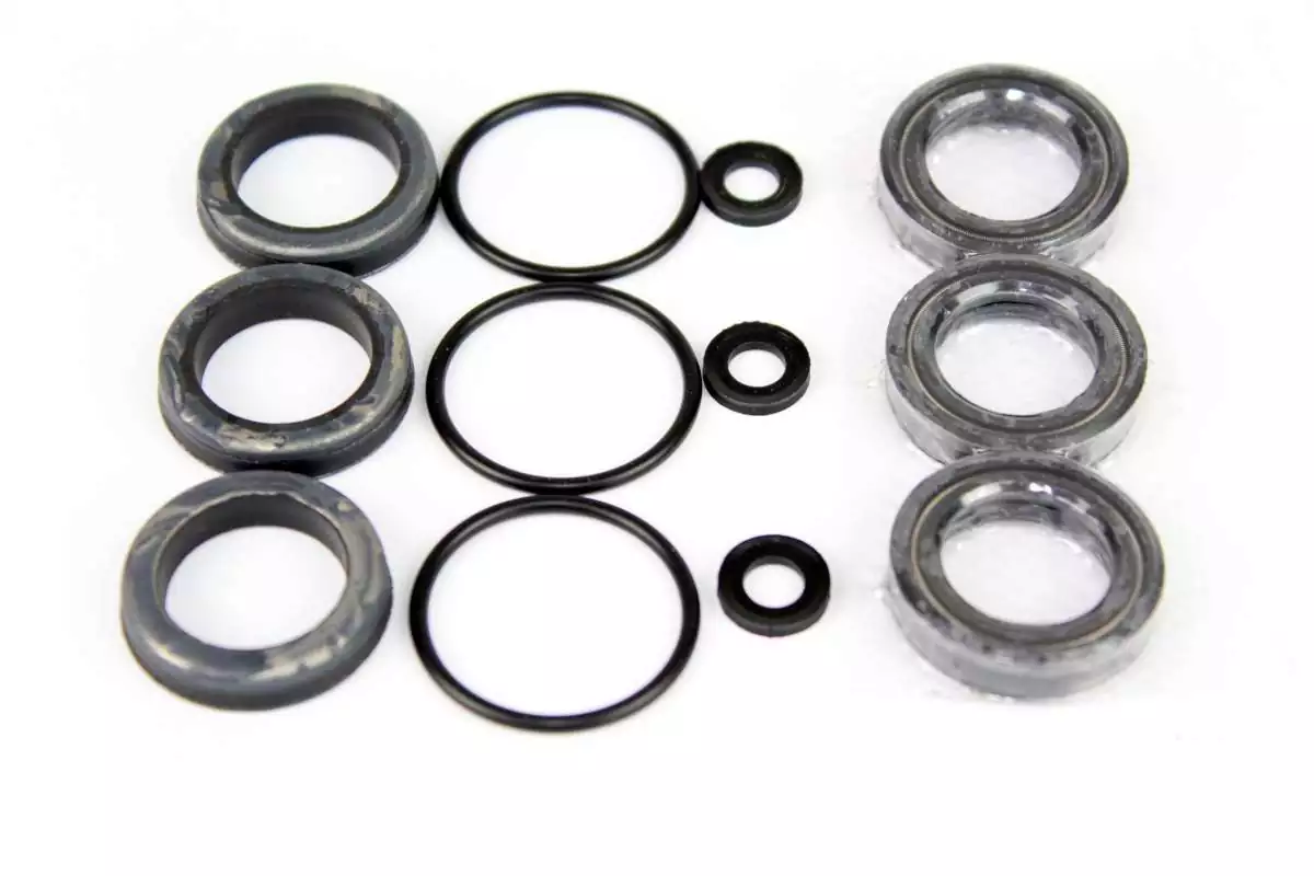 Dichtsatz CAT 3CP NBR für 3CP1120, 3CP1130, 3CP1140, 3CP1120G