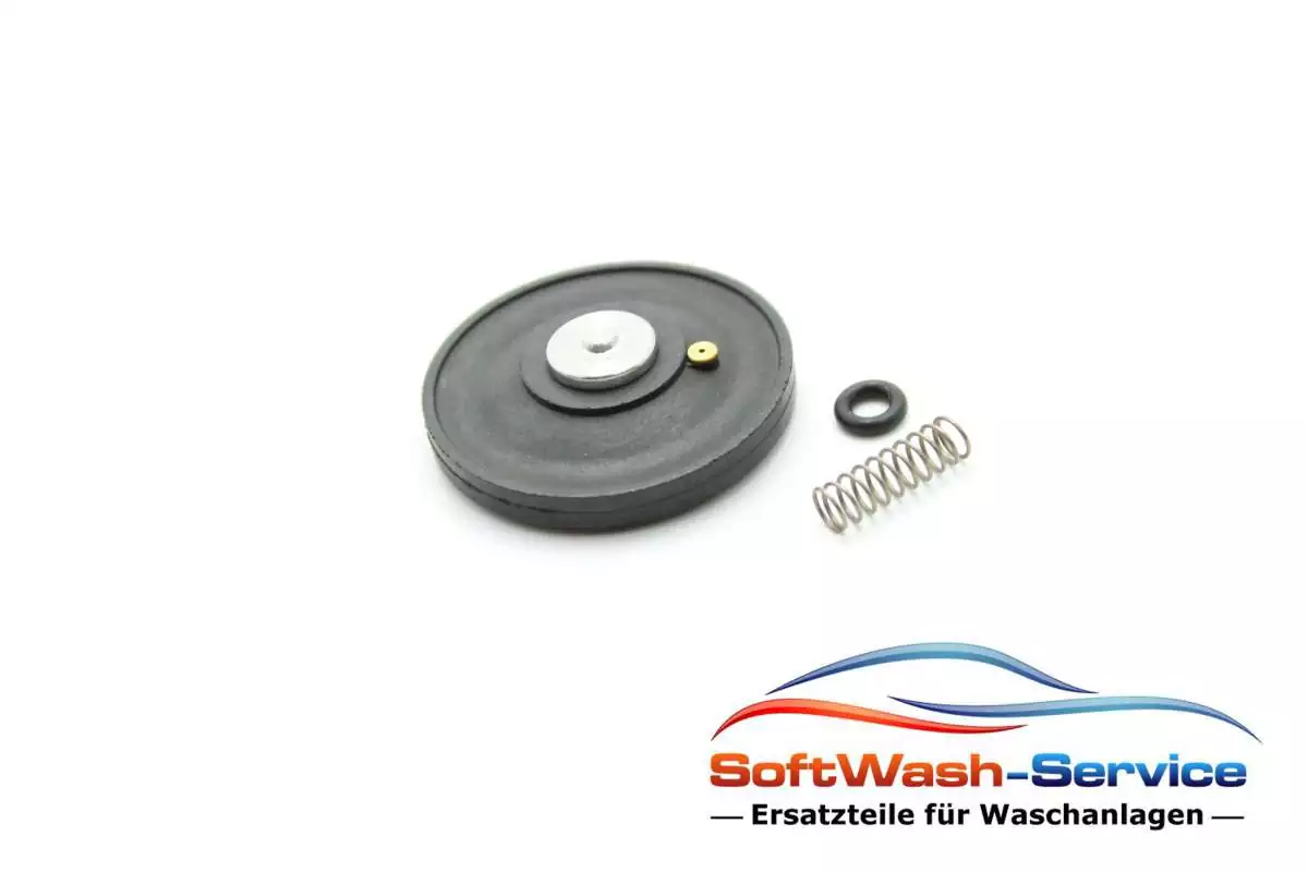 Ventilset aus Membrane, O-Ring und Feder