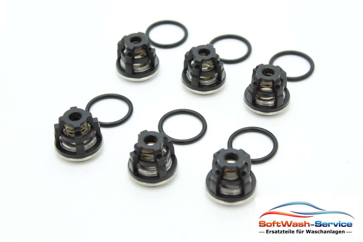KIT 2780 Ventilsatz (6 Stück) passend für Pumpe Annovi Reverberi XWL 50.07 H
